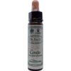 Cerato (herbe de plomb, herbe de corne) 10ml. - Ainsworths - fleurs de ruisseau