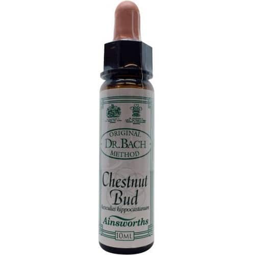Chestnut Bud (Kastanienknospe) 10ml. - Ainsworths - bachblüten