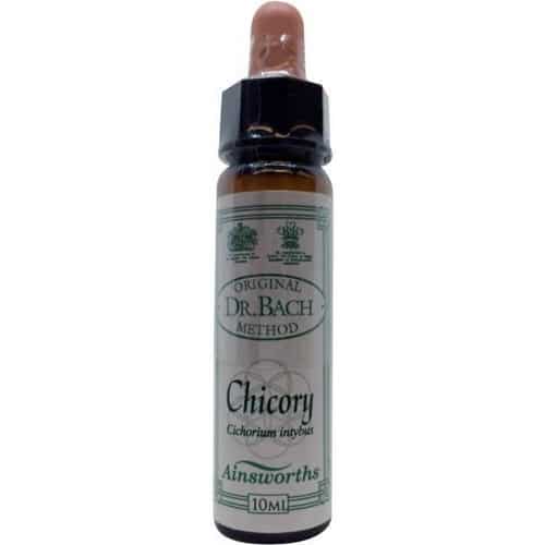 Chicory (Wegwarte) (Zichorie) 10ml. - Ainsworths - bachblüten