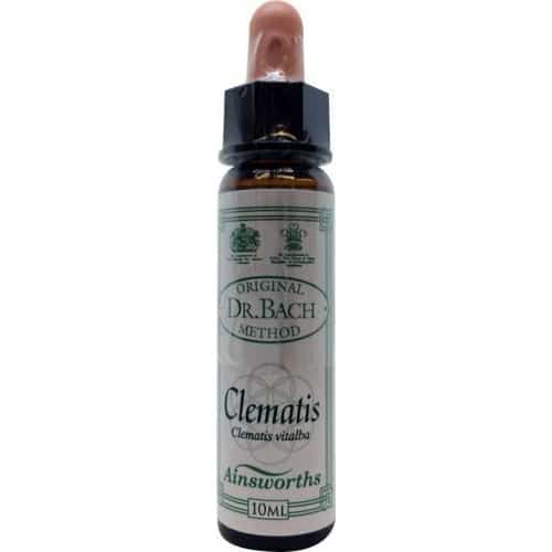 Clematis (Weiße Waldrebe) 10ml. - Ainsworths - bachblüten