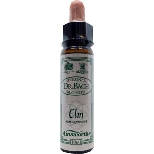 Elm (Ulme) 10ml. - Ainsworths - bachblüten