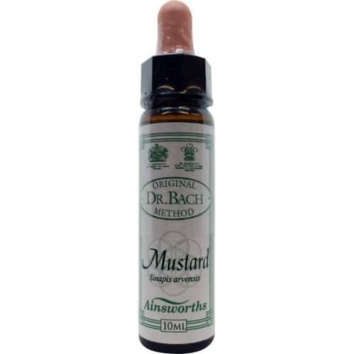 Mustard (Ackersenf) 10ml. - Ainsworths - bachblüten