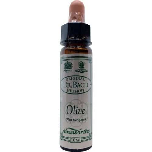 Olive (Olivenbaum) 10ml. - Ainsworths - bachblüten