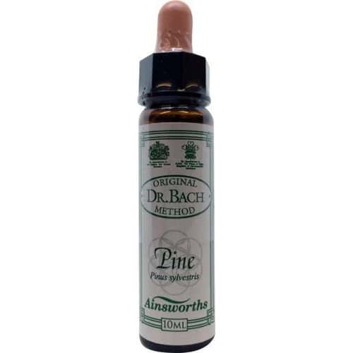 Pine (Kiefer) 10ml. - Ainsworths - bachblüten