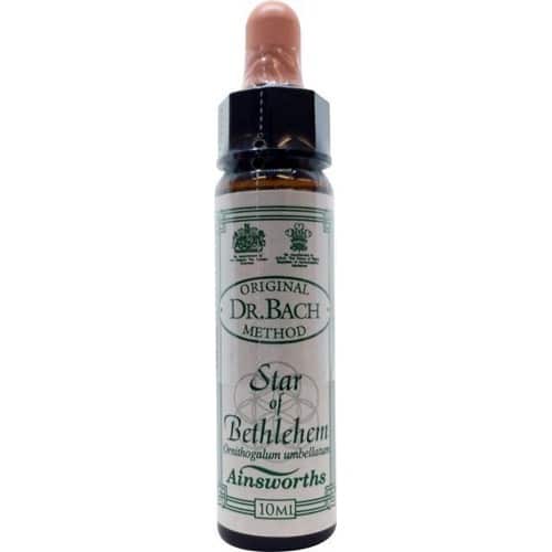 Star of Bethlehem (Doldiger Milchstern) 10ml. - Ainsworths - bachblüten