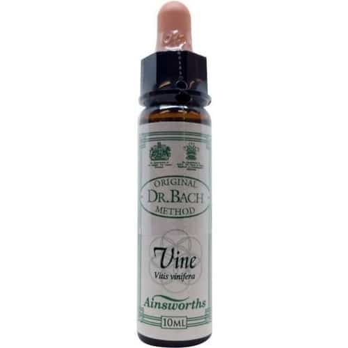 Vine (Weinrebe) 10ml. - Ainsworths - bachblüten