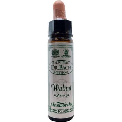 Walnut (Walnuss) 10ml. - Ainsworths - bachblüten