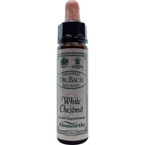 White Chestnut (Weiße Kastanie) 10ml. - Ainsworths - bachblüten