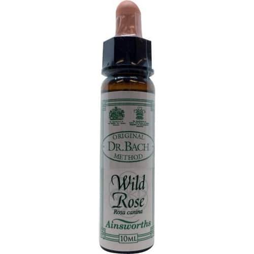 Wild Rose (Heckenrose, Hundsrose) 10ml. - Ainsworths - bachblüten