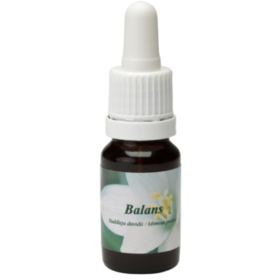 Balans / Equilibrio 10ml.
