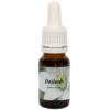 Daslook / Bärlauch 10ml.