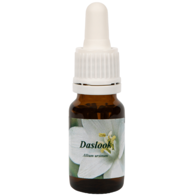 Daslook / Bärlauch 10ml.