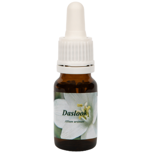 Daslook / Bärlauch 10ml.