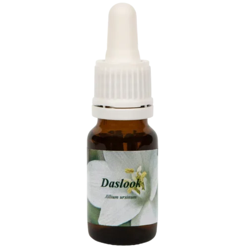 Daslook / Ail des ours 10ml.