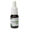 Yellowbloem / Yellowbloem des marais 10ml.