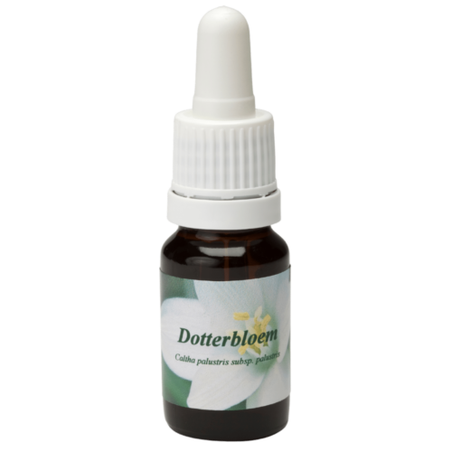 Dotterbloem / Sumpfdotterblume 10ml.