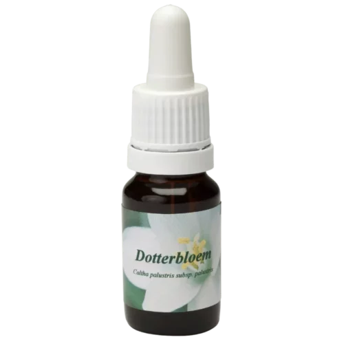Yellowbloem / Yellowbloem des marais 10ml.