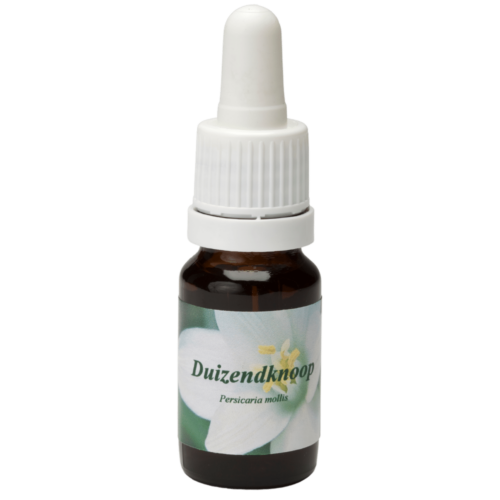 Duizendblad / Tausendblatt 10ml.