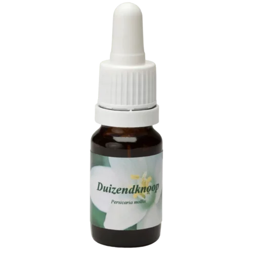 Duizendblad / mille-feuilles 10ml.
