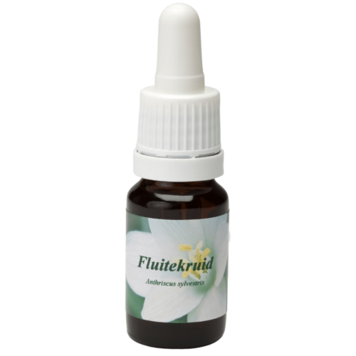Fluitenkruid / Kerbel 10ml.