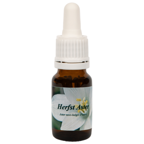 Aster 10ml.