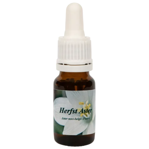 Aster 10ml.