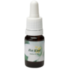 Het Kind / Il bambino 10ml.