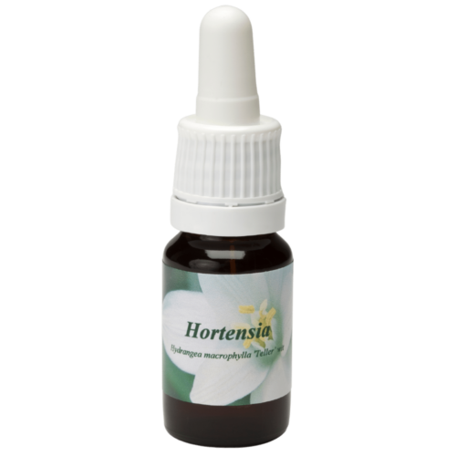 Hortensia / Hortensie 10ml.