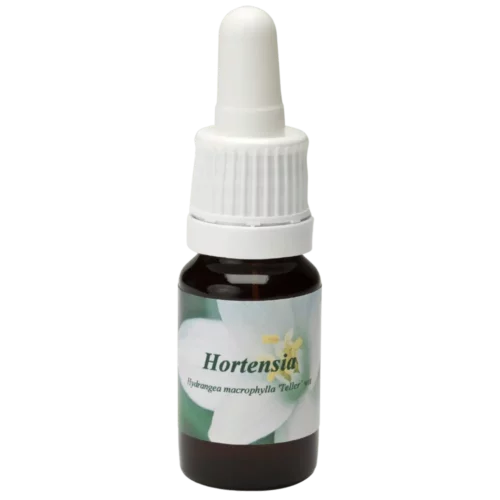Hortensia / Hortensia 10ml.