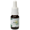 Hosta / Lys de cœur 10ml.