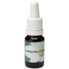 Houttuynia Cordata / Sumpfanemone 10ml.