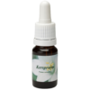 Kerspruim / Ameixa de cereja 10ml.