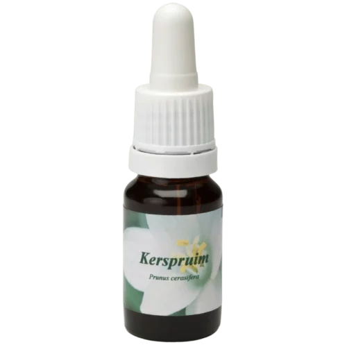 Kerspruim / prune cerise 10ml.