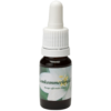 Komkommerkruid 2 / Gurkenkraut 2 10ml.