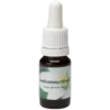 Komkommerkruid 2 / Herbe de concombre 2 10ml.