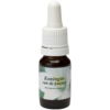 Koningin van de kusten / Königin der Küsten 10ml.
