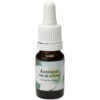 Koningin van de kusten / Reine des côtes 10ml.