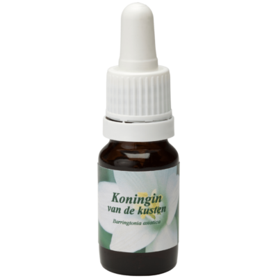 Koningin van de kusten / Rainha das costas 10ml.