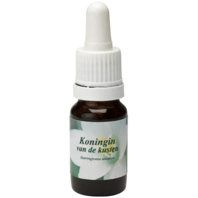Koningin van de kusten / Reine des côtes 10ml.