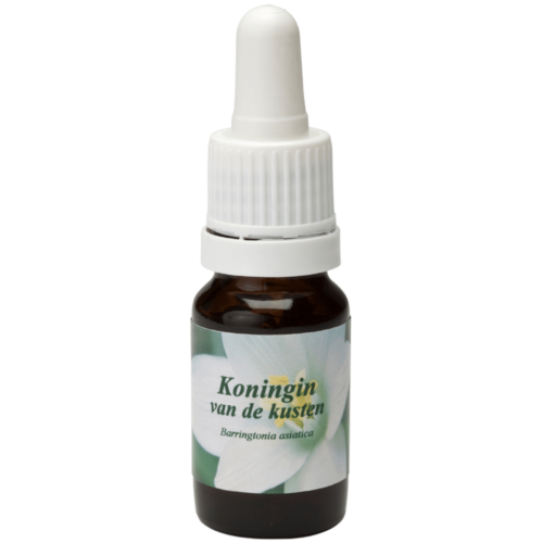 Koningin van de kusten / Königin der Küsten 10ml.
