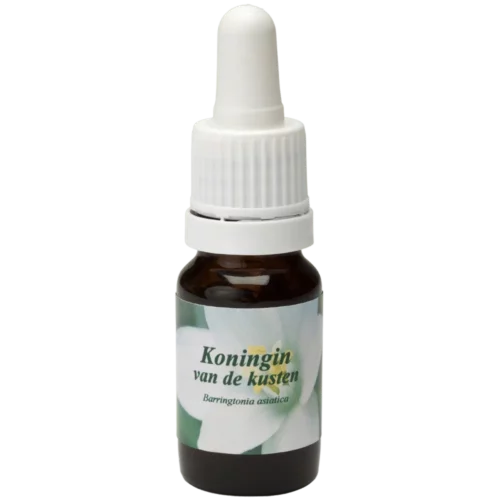 Koningin van de kusten / Reine des côtes 10ml.