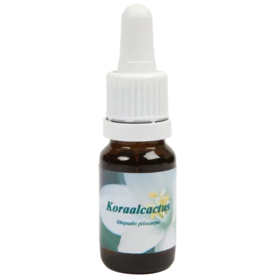 Cactus corail / Koraalcactus 10ml.