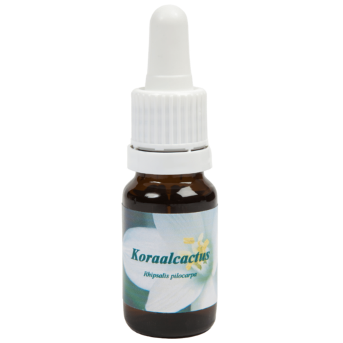 Koraalcactus / Korallenkaktus 10ml.