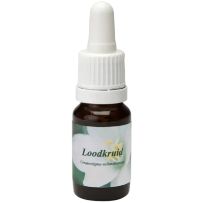 Loodkruid / Erva de chumbo 10ml.