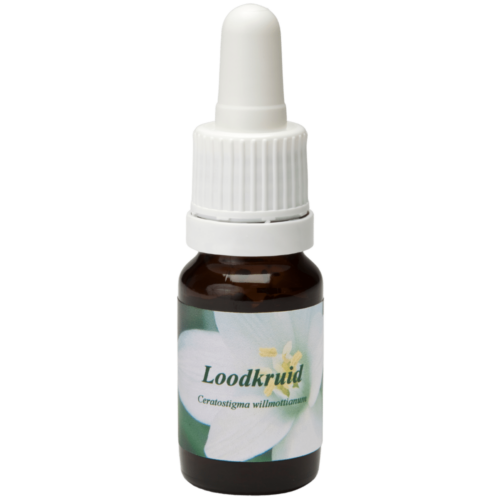 Loodkruid / Bleikraut 10ml.