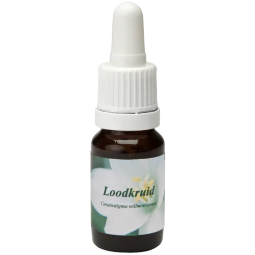 Loodkruid / herbe de plomb 10ml.