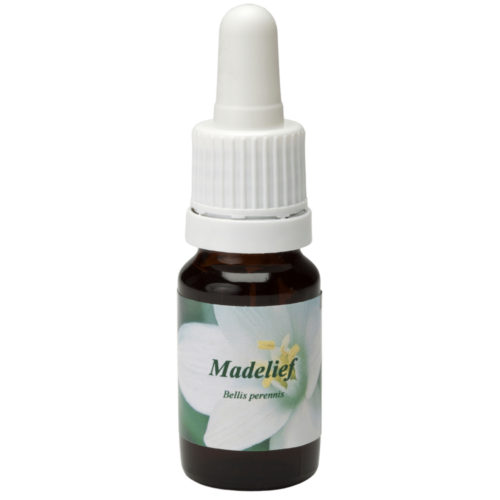 Madelief / Gänseblümchen 10ml.