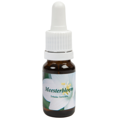 Meesterbloem / Radice di Terra Spina 10ml.