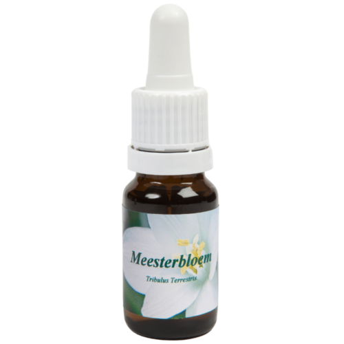 Meesterbloem / Erd-Burzeldorn 10ml.