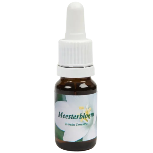 Meesterbloem / Épine-vinette de terre 10ml.